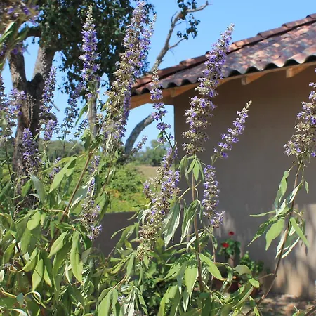 Apartment Casamea - T2 A Tavagna Talasani
