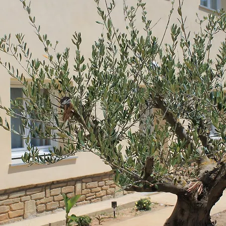 Casamea - T2 A Tavagna Talasani