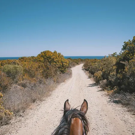 דירה Casamea - T2 A Tavagna *