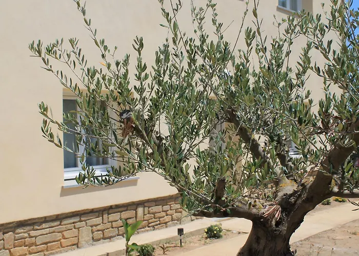 Casamea - T2 A Tavagna Talasani