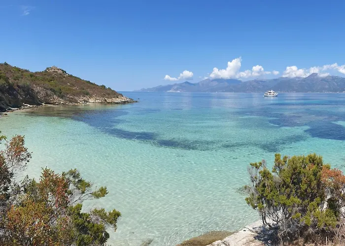 Appartement Casamea - T2 A Tavagna Talasani