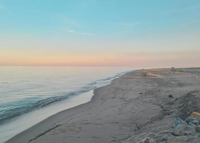 Appartement Casamea - T2 A Tavagna Talasani