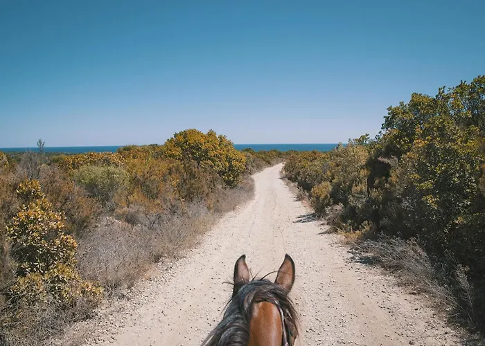 Apartment Casamea - T2 A Tavagna *