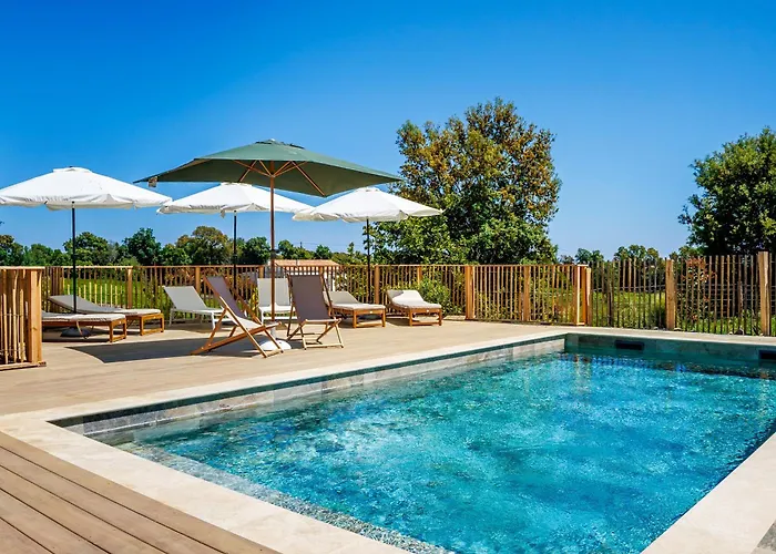 Casamea - T2 A Tavagna Apartment *